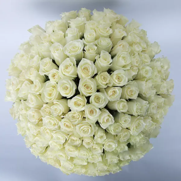 Tempting white roses bouquet1 Tempting White Roses Bouquet