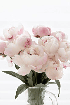 peonies for corporate