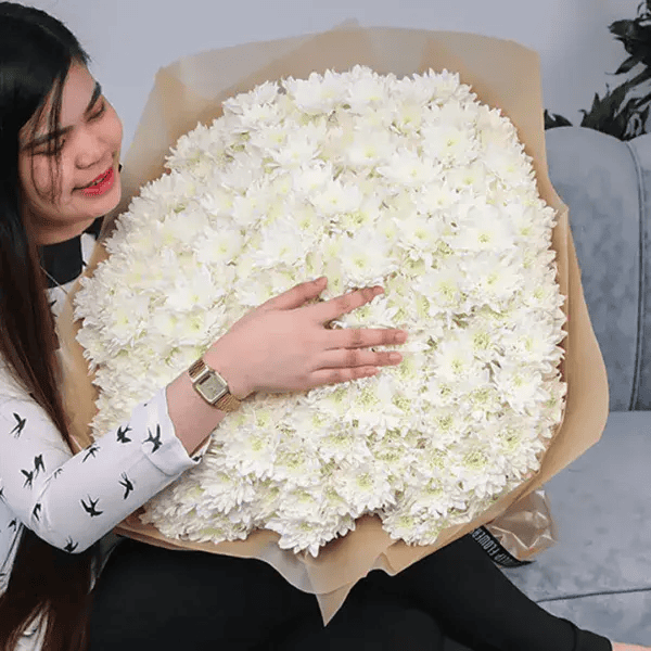 Chrysanthemum for graduation day