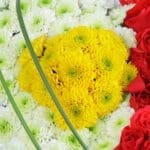 04 - Twin Floral Heart