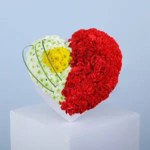 Chrysanthemums