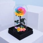 rainbow-forever-rose-dome