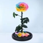 rainbow-forever-rose-dome_02