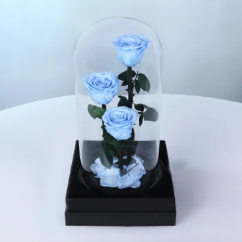 Signature Light Blue Rose Trio featuring three elegantly arranged blue roses designed as a premium floral gift symbolizing elegance, admiration, and timeless beauty.