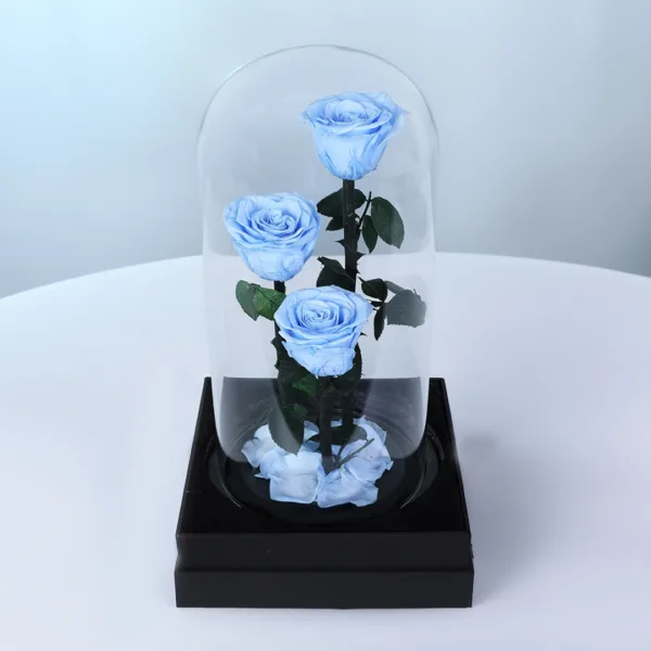 light-blue-trio-forever-rose_New Signature Light Blue Rose Trio featuring three elegantly arranged blue roses designed as a premium floral gift symbolizing elegance, admiration, and timeless beauty.